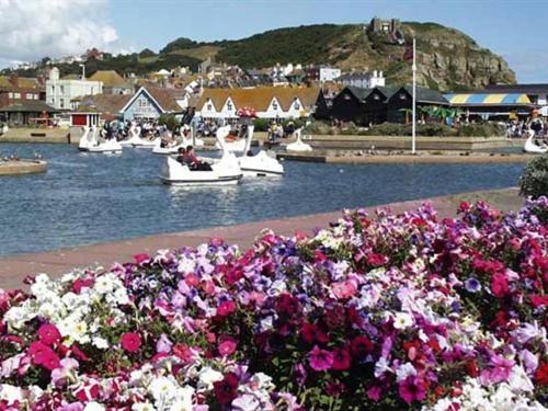 The Old Town Bed And Breakfast Hastings Luaran gambar